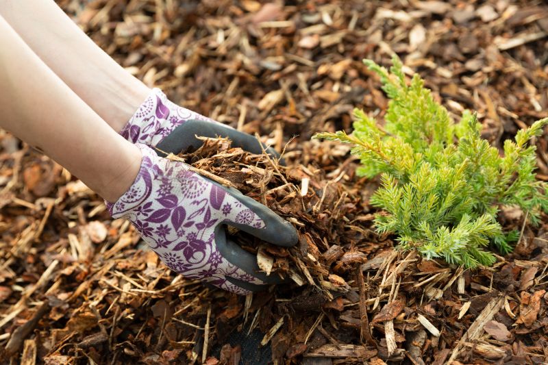Leaf Mulching Benefits