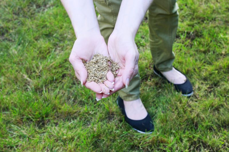 Winter Lawn Preparation