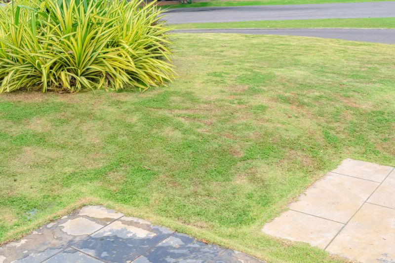 Lawn Health