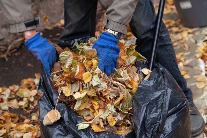 Fall Leaf Mulching